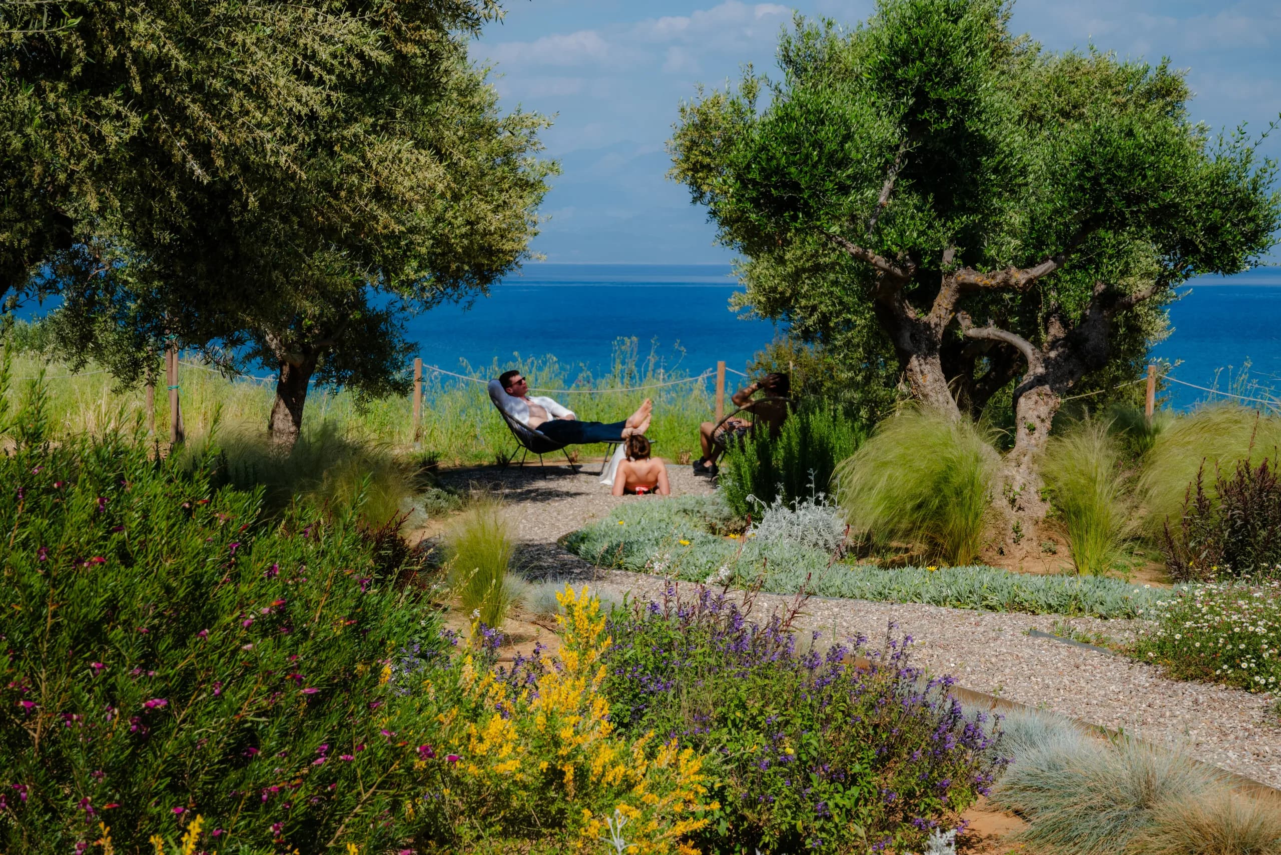 Olive grove running down to the sea with a sun lounger in the shade
