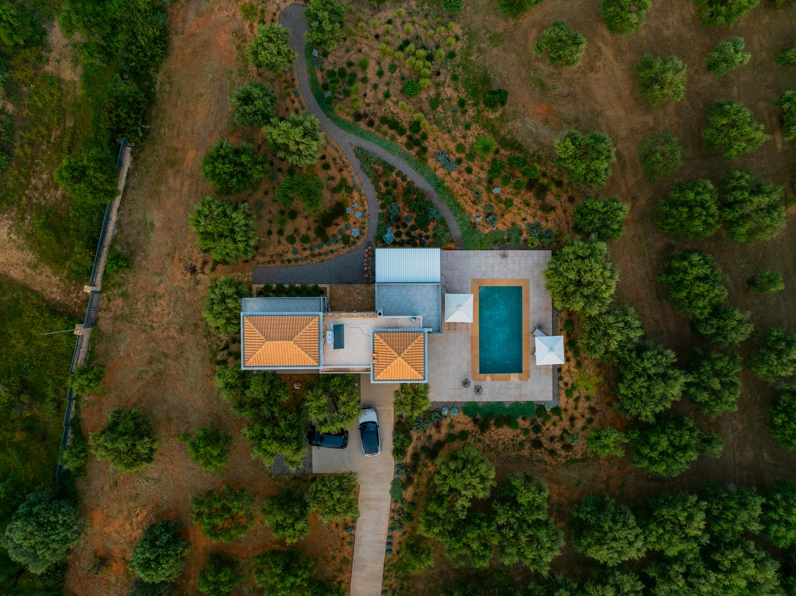 Overhead view of a villa with a swimming pool and a drive through olive trees